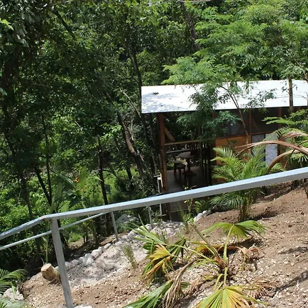 Surf Samara Treehouse 2