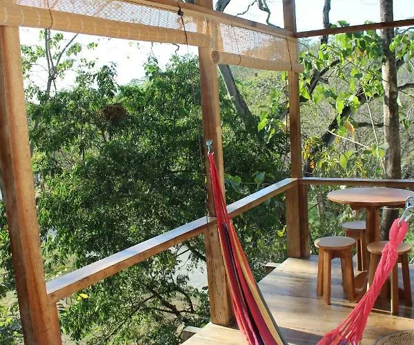 Surf Treehouse 2