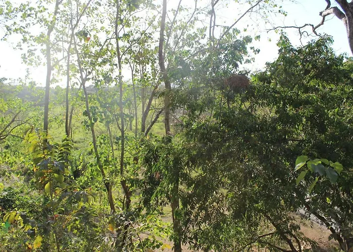 Surf Treehouse 2 *
