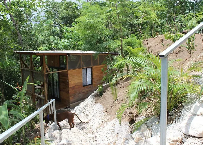 Gasthof Surf Treehouse 2 *